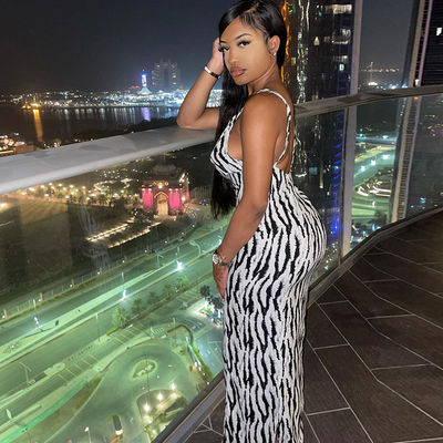 Sexy Print Stylish Dames Dress Zebra Strip V Neck Halter Dress